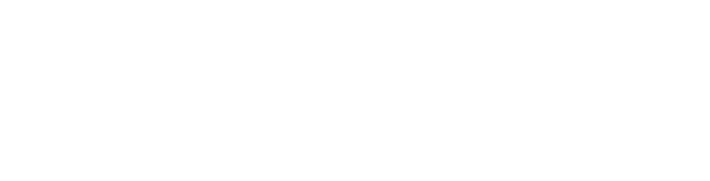 Liberty Mutual